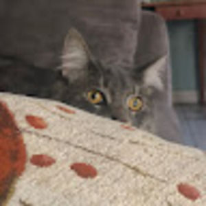 Meet your Posher, Eric